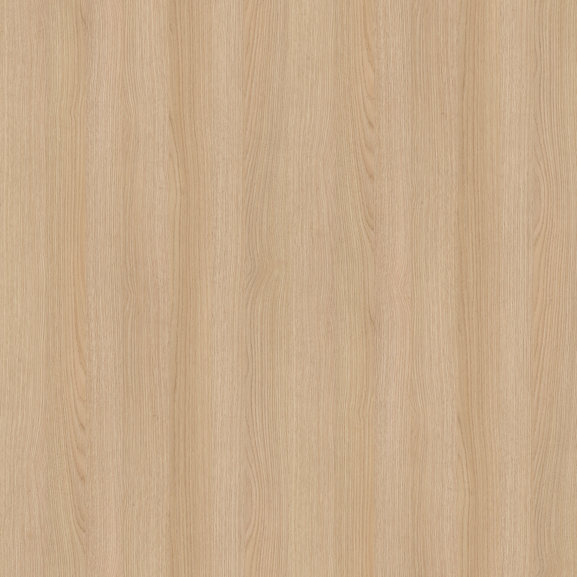 Lindberg Oak